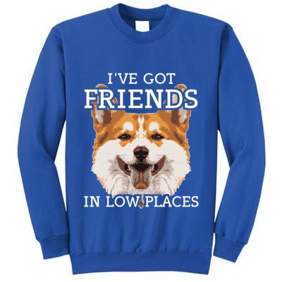 Funny Pembroke Welsh Corgi I've Got Friends In Low Places Cute Gift Tall Sweatshirt