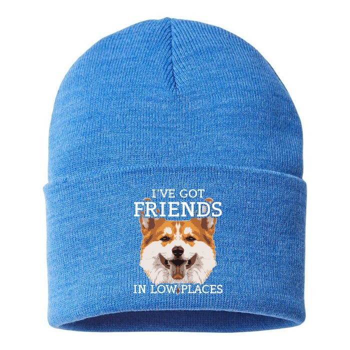 Funny Pembroke Welsh Corgi I've Got Friends In Low Places Cute Gift Sustainable Knit Beanie