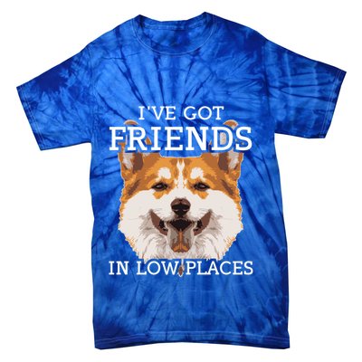 Funny Pembroke Welsh Corgi I've Got Friends In Low Places Cute Gift Tie-Dye T-Shirt