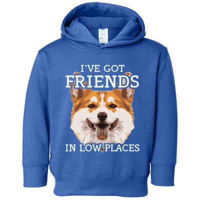 Funny Pembroke Welsh Corgi I've Got Friends In Low Places Cute Gift Toddler Hoodie