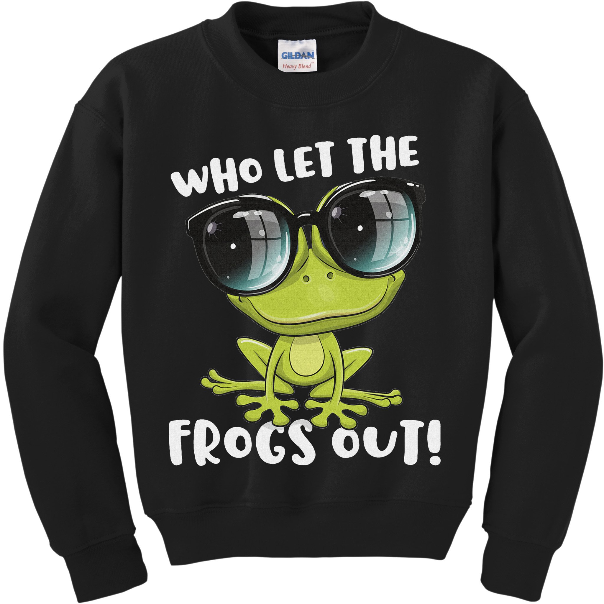 Funny Passover Who Let The Frogs Ou Jewish Seder Kids Sweatshirt
