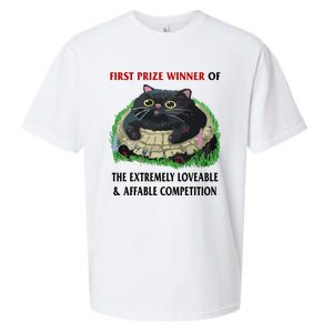 First Prize Winner Of The Extremely Loveable & Affable Competition Sueded Cloud Jersey T-Shirt