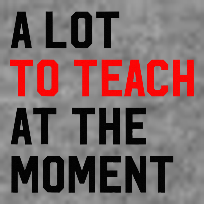 Funny Quote A Lot To Teach At The Moment Teacher Sustainable Beanie