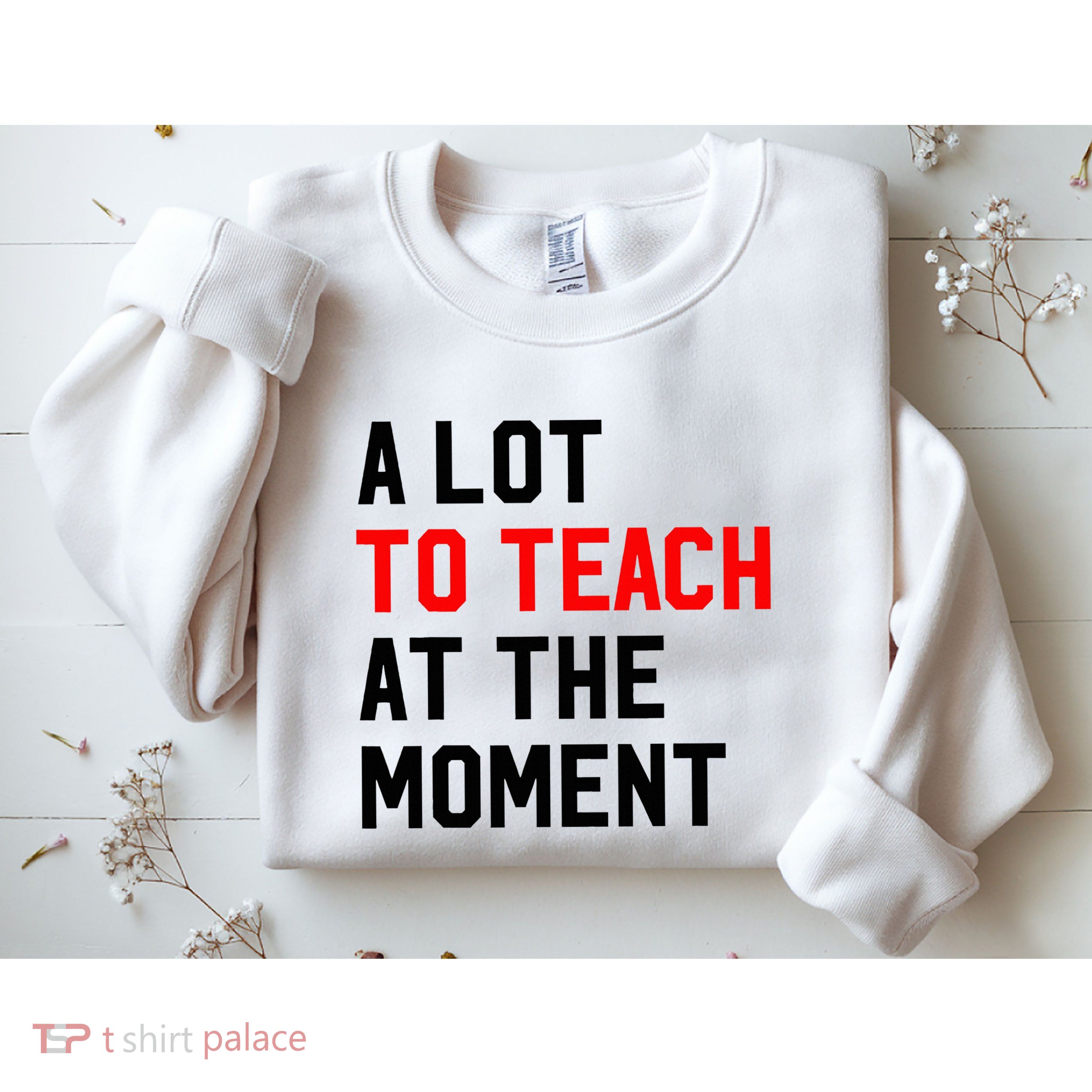 Funny Quote A Lot To Teach At The Moment Teacher Sweatshirt
