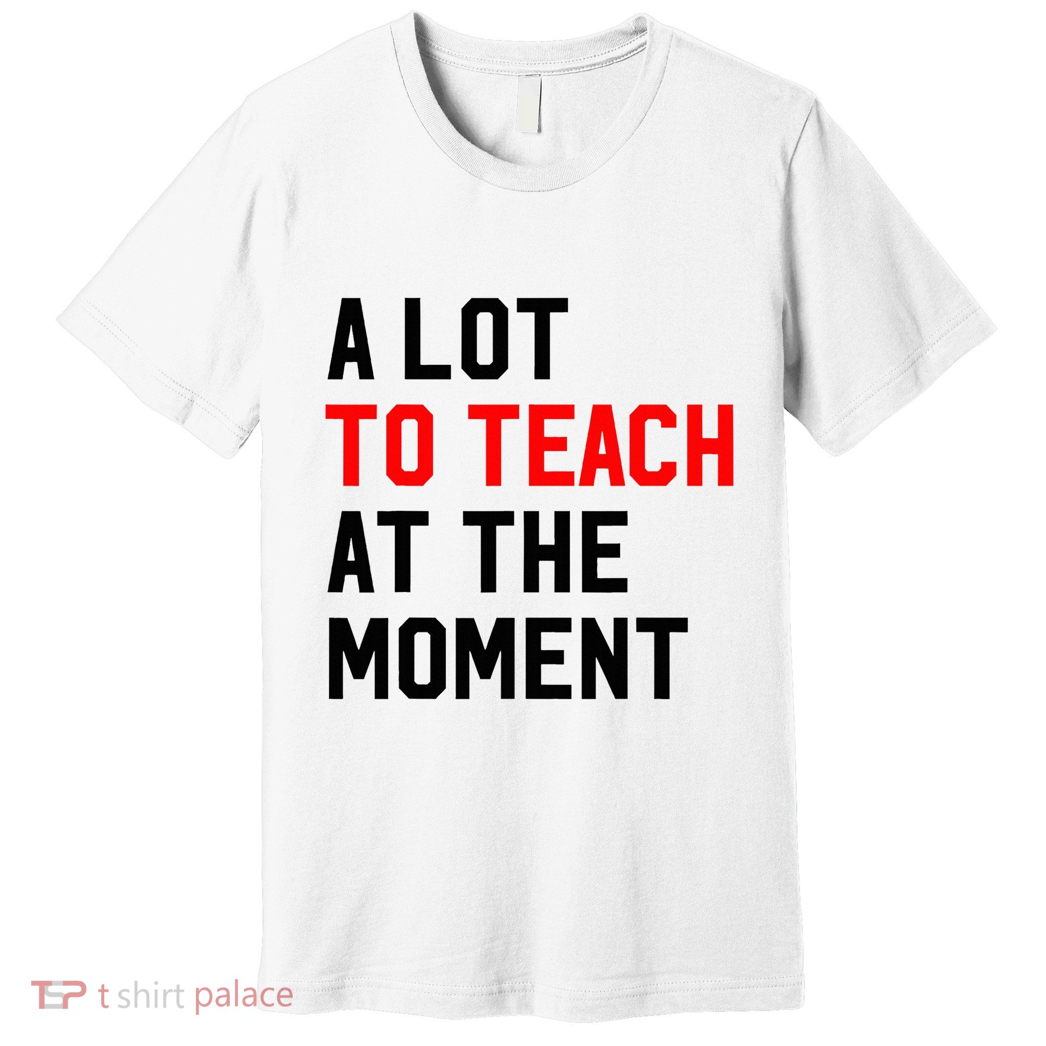 Funny Quote A Lot To Teach At The Moment Teacher Premium T-Shirt