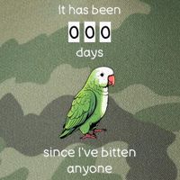 Funny Quaker Biting Quaker Parrot Joke Monk Parrot Legacy Tie Dye Trucker Hat