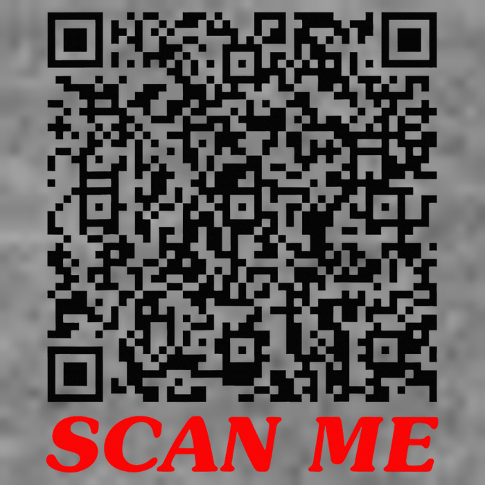 Fuckyou Qr Code Anti Social Sarcastic Tall Sweatshirt