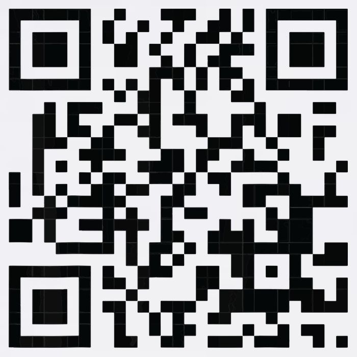 Fuckoff Qr Code USA-Made Doggie Bandana