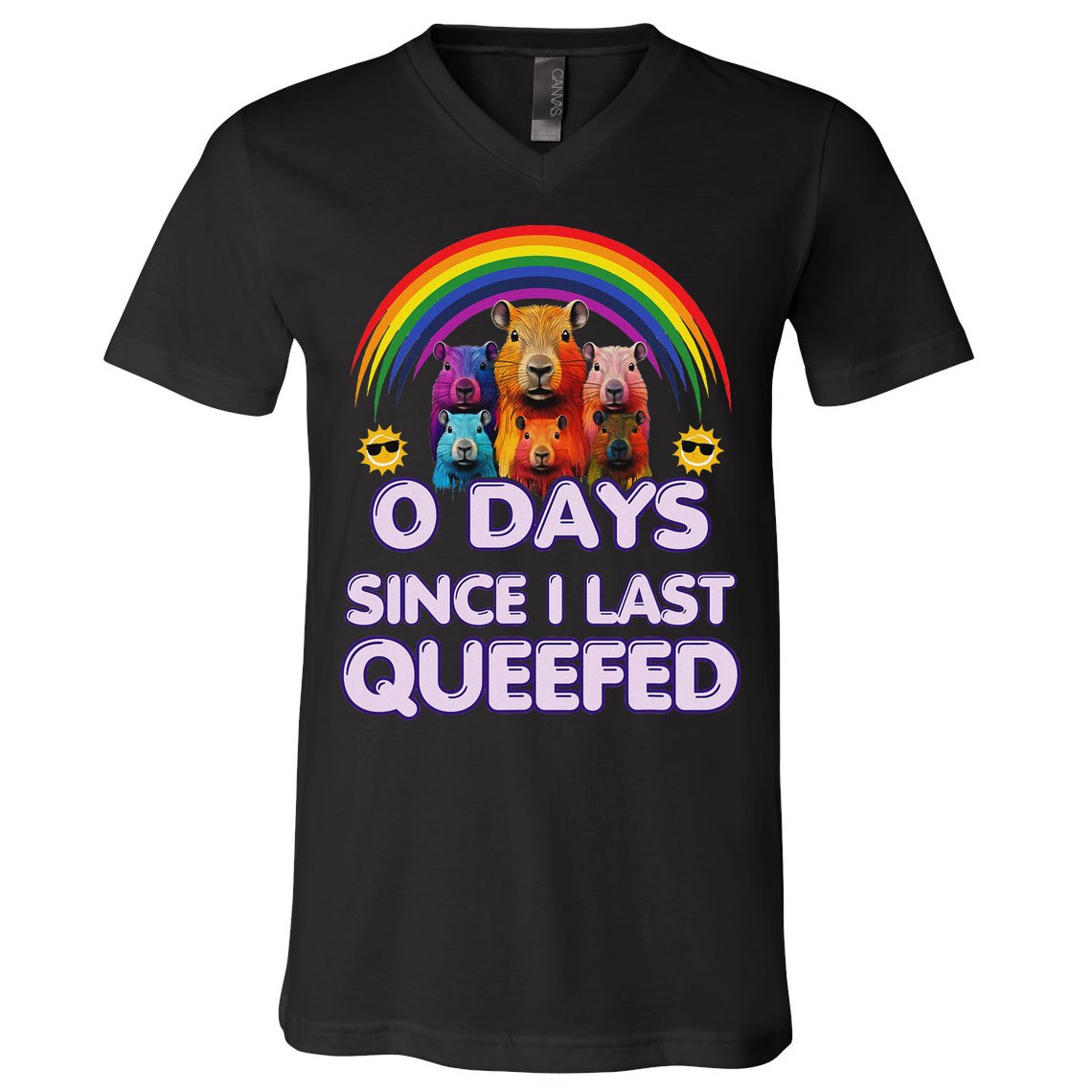 Funny Queefed Embarrassing Adult Humor Sarcastic Adult V-Neck T-Shirt