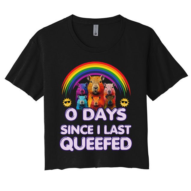 Funny Queefed Embarrassing Adult Humor Sarcastic Adult Women's Crop Top Tee