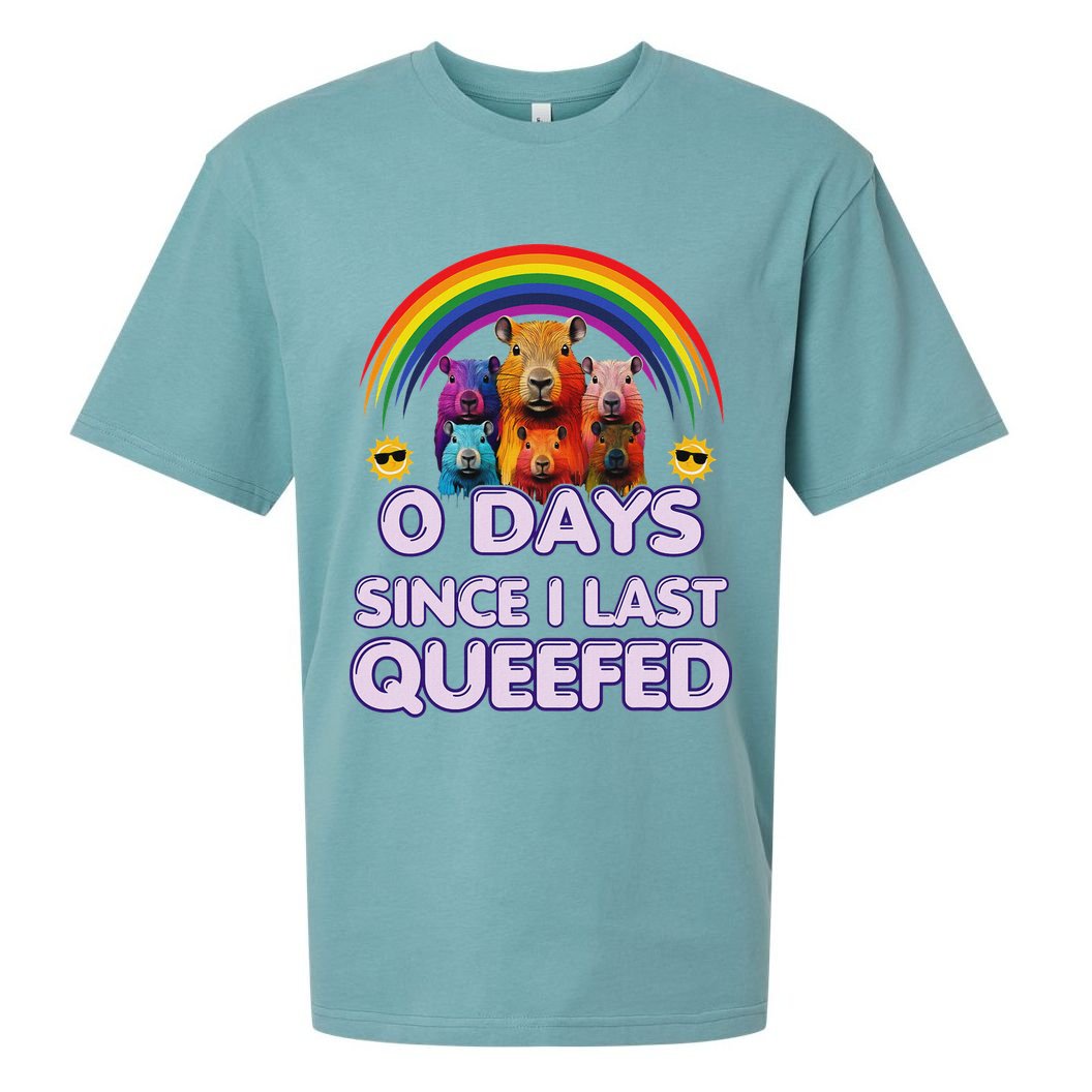Funny Queefed Embarrassing Adult Humor Sarcastic Adult Sueded Cloud Jersey T-Shirt