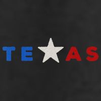 funny quote Hand Crafted Texas Star 7 Panel Mesh Trucker Snapback Hat