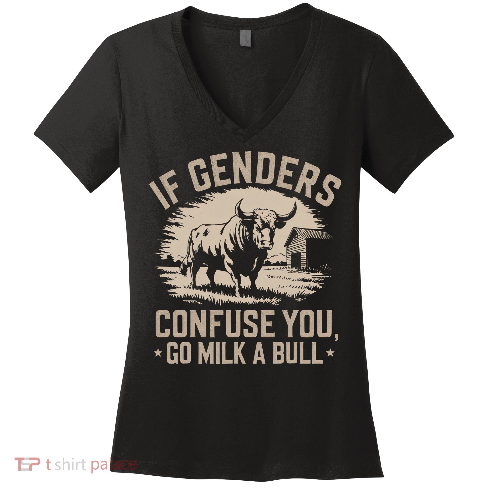 Funny Quote If Genders Confuse You Go Milk A Bull Vintage Women's V-Neck T-Shirt