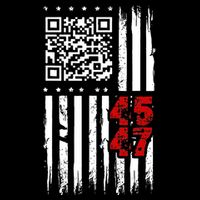 Funny Qr Scan Code Jokes Humor Hidden Message Sarcastic Metallic Star Ornament
