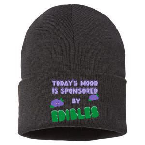 Funny Quote Today’S Mood Is Sponsored By Edibles Sustainable Knit Beanie