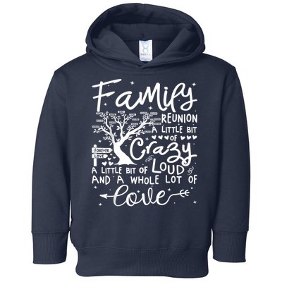 Family Reunion 2025 Family Matching Reunion Party Toddler Hoodie