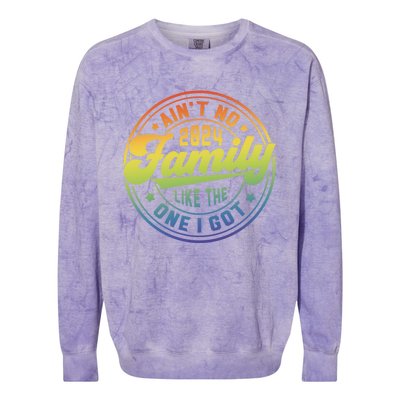 Family Reunion 2024 Family Gathering Colorblast Crewneck Sweatshirt