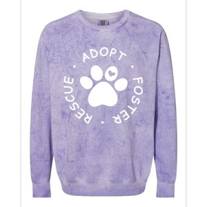 Foster Rescue Adopt Dog Cat Pet Animal Shelter Volunr Gift Colorblast Crewneck Sweatshirt