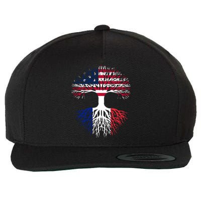 French Roots American Grown Usa France Flag Wool Snapback Cap