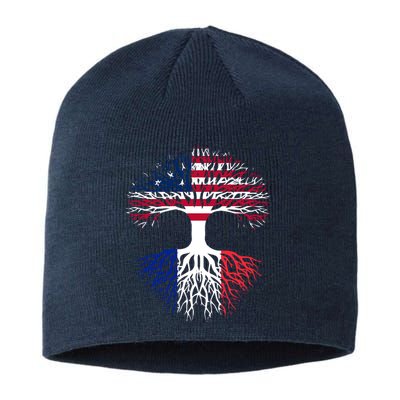 French Roots American Grown Usa France Flag Sustainable Beanie