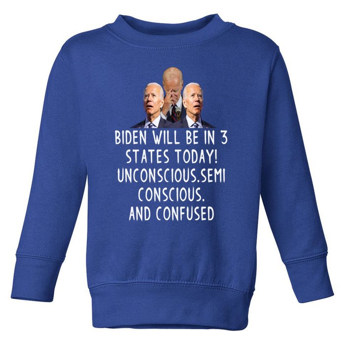 Funny Republican Anti Joe Biden Quote Anti Joe Biden Gift Toddler Sweatshirt