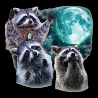 Funny Raccoon Boxer Trash Money We Gettin Rich Impact Tech Backpack