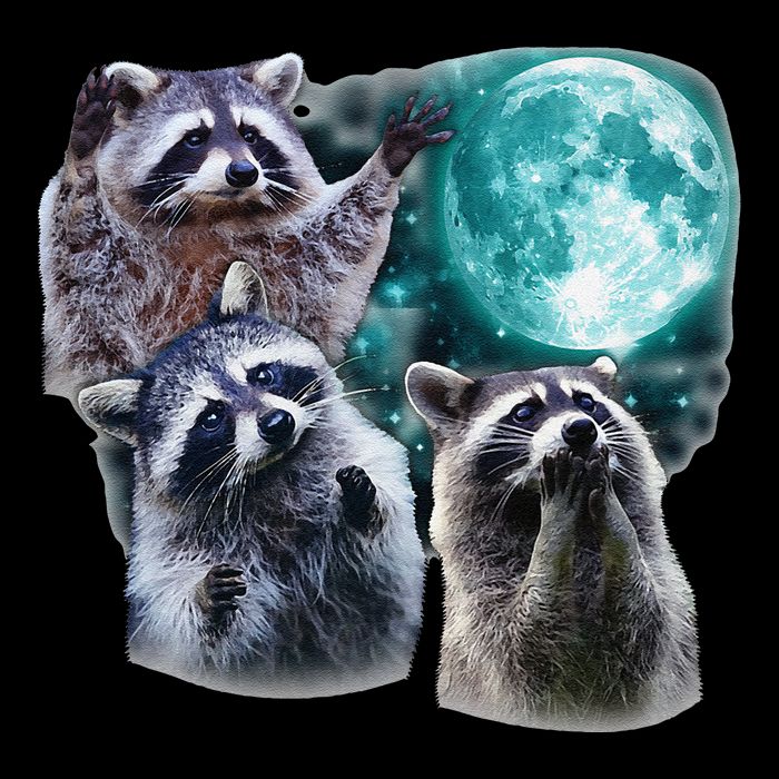 Funny Raccoon Boxer Trash Money We Gettin Rich Impact Tech Backpack