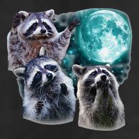 Funny Raccoon Boxer Trash Money We Gettin Rich Adult Drive Performance Visor