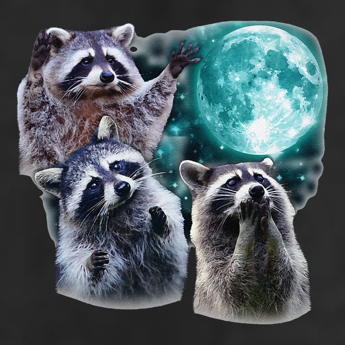 Funny Raccoon Boxer Trash Money We Gettin Rich Adult Drive Performance Visor