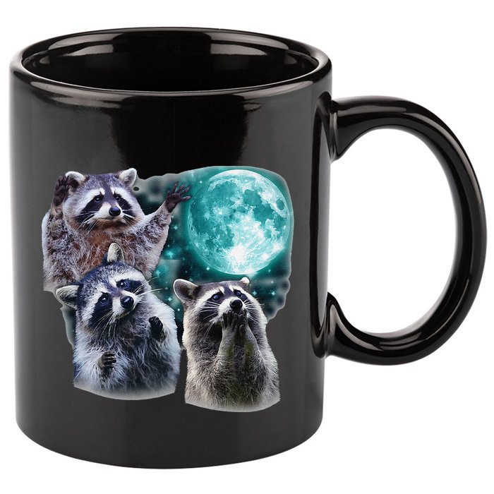Funny Raccoon Boxer Trash Money We Gettin Rich 11oz C Handle Ceramic Mug