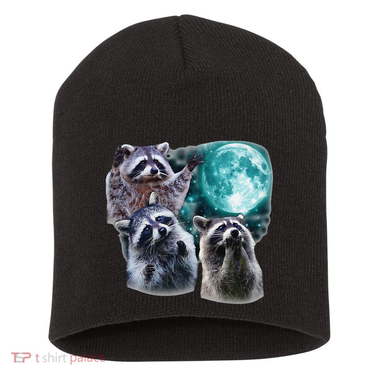 Funny Raccoon Boxer Trash Money We Gettin Rich Short Acrylic Beanie