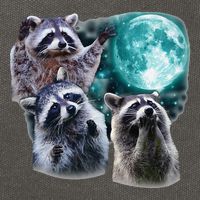 Funny Raccoon Boxer Trash Money We Gettin Rich Cotton Canvas Backpack