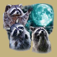 Funny Raccoon Boxer Trash Money We Gettin Rich Cooling Performance Crew T-Shirt