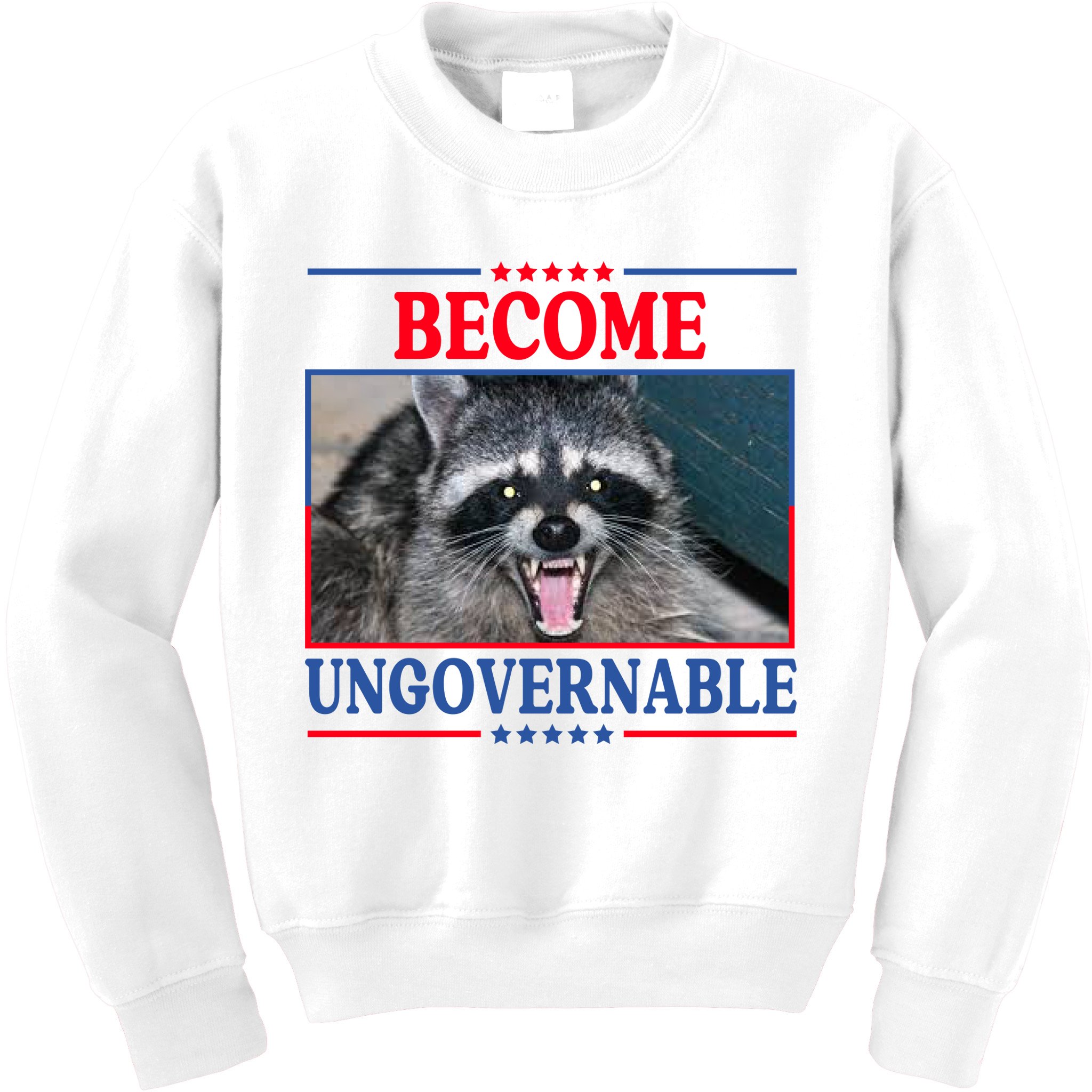 Funny Raccoon Become Ungovernable Kids Sweatshirt