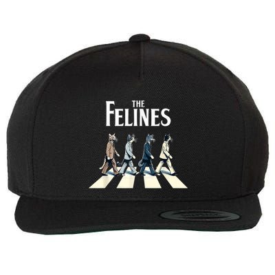 Felines Retro Cat Rock Music Gift Funny Cat Wool Snapback Cap