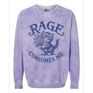 Funny Rage Consumes Me Cat Meme Colorblast Crewneck Sweatshirt