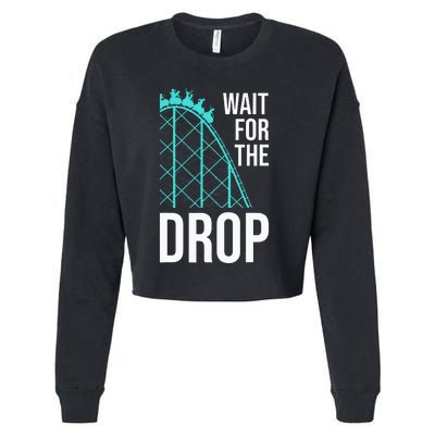 Funny Roller Coaster Designs Amusement Park Cropped Pullover Crew