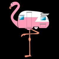 Flamingo RV Camper Drawstring Bag