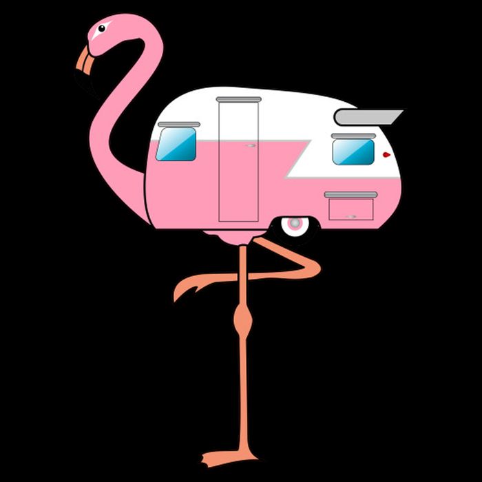 Flamingo RV Camper Drawstring Bag