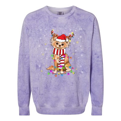 Funny Reindeer Chihuahua Dog Merry Christmas Gift Colorblast Crewneck Sweatshirt