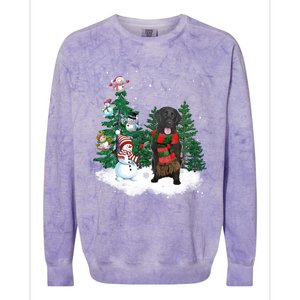 Flatcoated Retriever Dog Christmas Snow Xmas Tree Pajama Cool Gift Colorblast Crewneck Sweatshirt