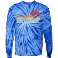 Funny Retro Disc Golf Frisbee Gift Tie-Dye Long Sleeve Shirt