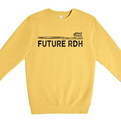 Future Rdh Dental Hygienist Student Dentist Graduate Dental Gift Premium Crewneck Sweatshirt