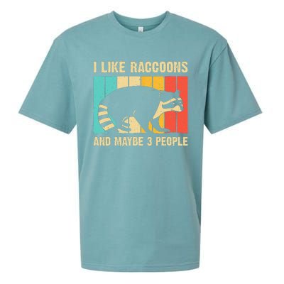 Funny Raccoon Design For  Raccoon Lover Introvert Sueded Cloud Jersey T-Shirt