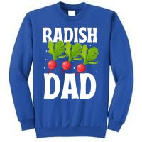 Funny Radish Dad Vegetable Fathers' Day Gardener Lover Meaningful Gift Tall Sweatshirt