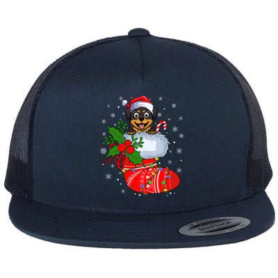 Funny Rottweiler Dog In Christmas Sock Santa Rottweiler Xmas Gift Flat Bill Trucker Hat