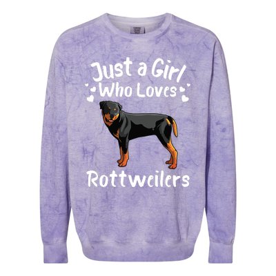 Funny Rottweiler Designs For Girl Women Kids Rott Pet Lover Colorblast Crewneck Sweatshirt