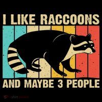 Funny Raccoon Design For Women Raccoon Lover Introvert Tall T-Shirt