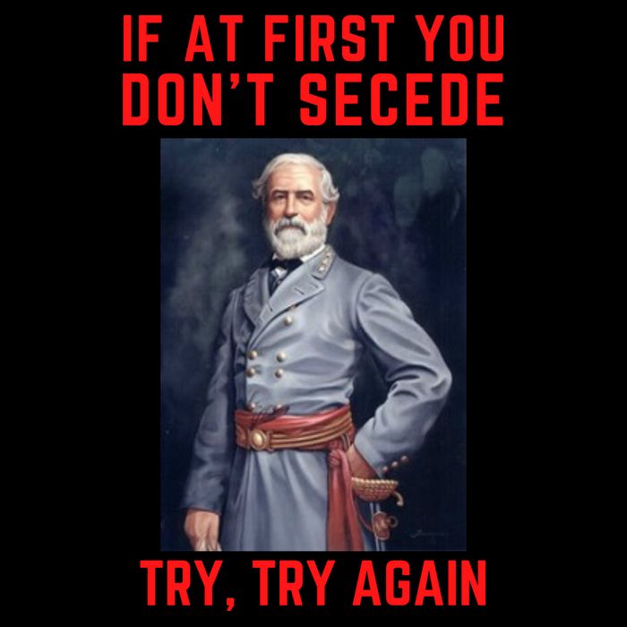 Funny Robert E. Lee Secede Civil War Secession 16 in Basic Backpack