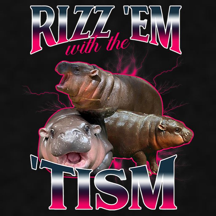 Funny Rizz Em With The Tism Meme Moo Deng Baby Hippo Ladies PosiCharge Tri-Blend Wicking Tank
